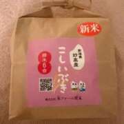 ヒメ日記 2025/09/21 17:05 投稿 ふじの シャトーペトラ