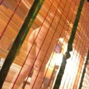 ヒメ日記 2025/11/28 17:08 投稿 ふじの シャトーペトラ