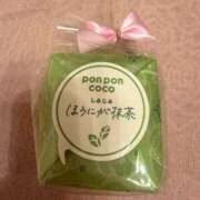 ヒメ日記 2025/12/16 16:58 投稿 ふじの シャトーペトラ