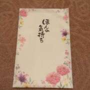 ヒメ日記 2026/01/11 15:17 投稿 ふじの シャトーペトラ