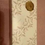 ヒメ日記 2026/03/11 07:27 投稿 ふじの シャトーペトラ