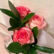 ヒメ日記 2026/03/20 16:23 投稿 ふじの シャトーペトラ