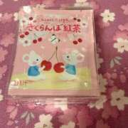 ヒメ日記 2026/03/25 17:46 投稿 ふじの シャトーペトラ