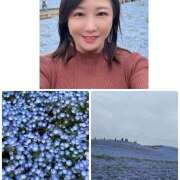 ヒメ日記 2026/04/23 16:09 投稿 ふじの シャトーペトラ