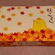 ヒメ日記 2026/09/27 17:57 投稿 ふじの シャトーペトラ