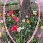 ヒメ日記 2025/05/02 11:58 投稿 えりこ 完熟とまと(十三)