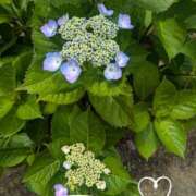 えりこ お昼ご飯🍚食べた？ 完熟とまと(十三)