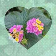 ヒメ日記 2026/02/01 13:55 投稿 えりこ 完熟とまと(十三)