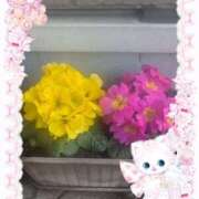 ヒメ日記 2026/02/23 19:40 投稿 えりこ 完熟とまと(十三)