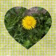 ヒメ日記 2026/04/11 14:59 投稿 えりこ 完熟とまと(十三)