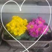 ヒメ日記 2026/04/30 18:06 投稿 えりこ 完熟とまと(十三)