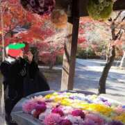 ヒメ日記 2024/12/12 09:12 投稿 みちこ 完熟とまと(十三)