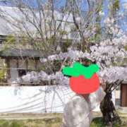 ヒメ日記 2025/02/27 10:22 投稿 みちこ 完熟とまと(十三)