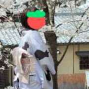 ヒメ日記 2025/04/12 09:18 投稿 みちこ 完熟とまと(十三)