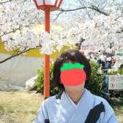 ヒメ日記 2025/04/17 10:39 投稿 みちこ 完熟とまと(十三)