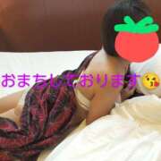 ヒメ日記 2025/05/15 10:01 投稿 みちこ 完熟とまと(十三)