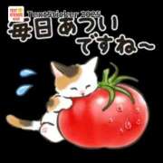 ヒメ日記 2025/07/28 07:52 投稿 みちこ 完熟とまと(十三)