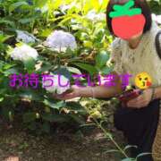 みちこ 出勤です😌 完熟とまと(十三)