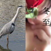 ヒメ日記 2024/12/21 10:28 投稿 ゆめこ 完熟とまと(十三)