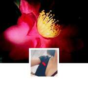 ヒメ日記 2025/01/18 21:14 投稿 ゆめこ 完熟とまと(十三)