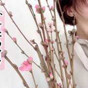 ヒメ日記 2025/02/24 07:36 投稿 ゆめこ 完熟とまと(十三)