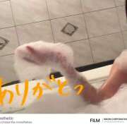 ヒメ日記 2025/02/28 13:29 投稿 ゆめこ 完熟とまと(十三)