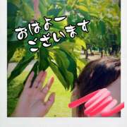 ヒメ日記 2025/03/29 10:15 投稿 ゆめこ 完熟とまと(十三)