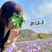 ヒメ日記 2025/04/15 09:49 投稿 ゆめこ 完熟とまと(十三)