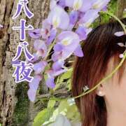 ヒメ日記 2025/05/01 12:52 投稿 ゆめこ 完熟とまと(十三)