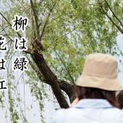 ヒメ日記 2025/05/06 09:08 投稿 ゆめこ 完熟とまと(十三)