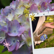 ヒメ日記 2025/05/20 20:55 投稿 ゆめこ 完熟とまと(十三)