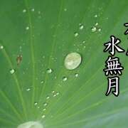 ヒメ日記 2025/06/03 09:38 投稿 ゆめこ 完熟とまと(十三)