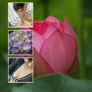 ヒメ日記 2025/06/10 08:59 投稿 ゆめこ 完熟とまと(十三)