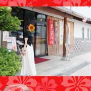 ヒメ日記 2025/07/11 14:26 投稿 ゆめこ 完熟とまと(十三)