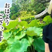 ヒメ日記 2025/07/14 08:44 投稿 ゆめこ 完熟とまと(十三)