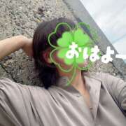 ヒメ日記 2025/09/05 10:24 投稿 ゆめこ 完熟とまと(十三)