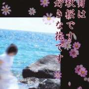 ヒメ日記 2025/09/11 23:03 投稿 ゆめこ 完熟とまと(十三)
