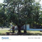 ヒメ日記 2025/10/03 09:08 投稿 ゆめこ 完熟とまと(十三)