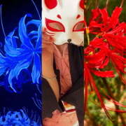 ヒメ日記 2025/10/08 10:43 投稿 ゆめこ 完熟とまと(十三)