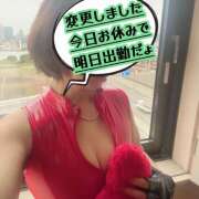 ヒメ日記 2025/10/22 09:49 投稿 ゆめこ 完熟とまと(十三)