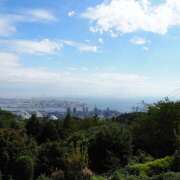 ヒメ日記 2025/11/09 22:09 投稿 ゆめこ 完熟とまと(十三)