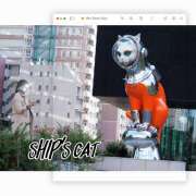 ヒメ日記 2025/11/23 09:34 投稿 ゆめこ 完熟とまと(十三)