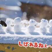 ヒメ日記 2026/02/08 10:42 投稿 ゆめこ 完熟とまと(十三)