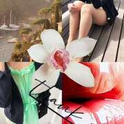 ヒメ日記 2026/03/18 18:49 投稿 ゆめこ 完熟とまと(十三)