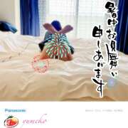 ヒメ日記 2026/07/26 08:44 投稿 ゆめこ 完熟とまと(十三)