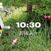 ヒメ日記 2026/08/19 10:11 投稿 ゆめこ 完熟とまと(十三)