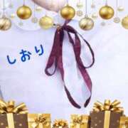 ヒメ日記 2024/12/15 07:44 投稿 しおり フィエスタ