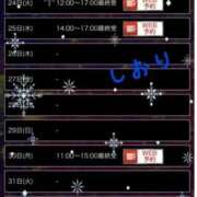 ヒメ日記 2024/12/23 18:44 投稿 しおり フィエスタ