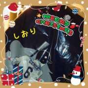 ヒメ日記 2024/12/24 20:14 投稿 しおり フィエスタ