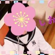 ヒメ日記 2024/12/31 10:44 投稿 しおり フィエスタ